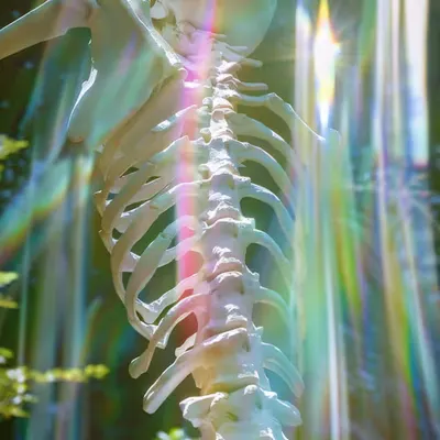 Etherwave Matrix
