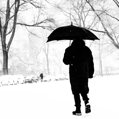 Silent Walk