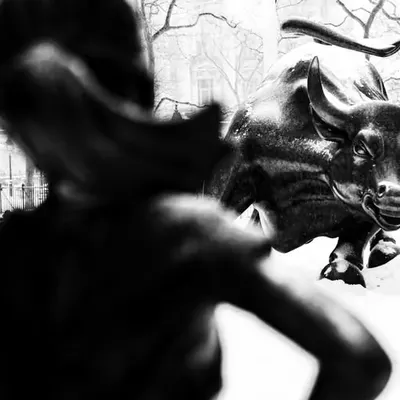 The Girl And Bull