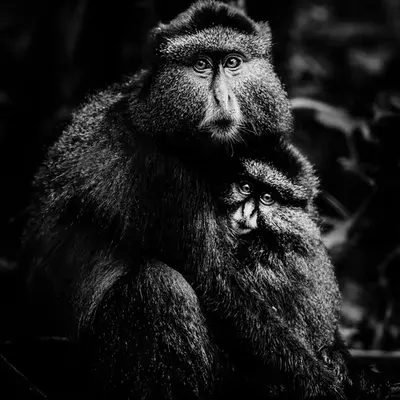 Motherhood  - Token of Appreciation