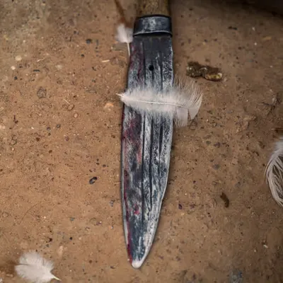 #14 Feather