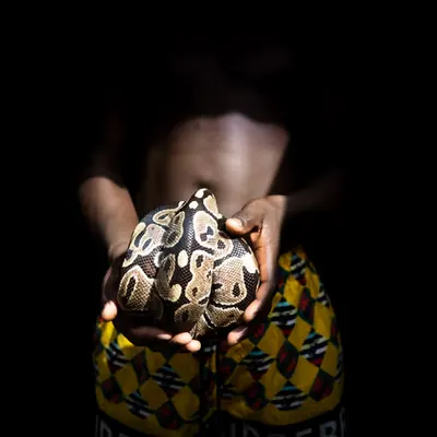 #6 Python
