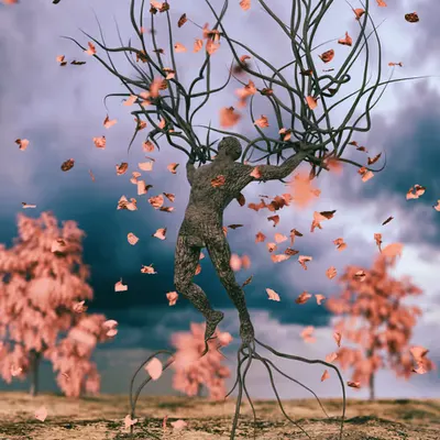 Birth of a Tree