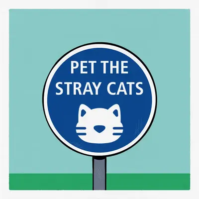 Pet the stray cats