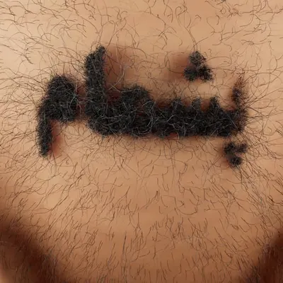 Pashmam