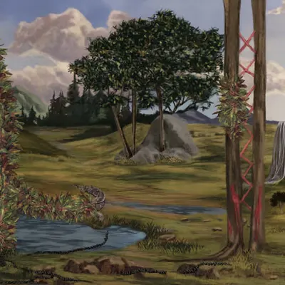 THE LANDSCAPE
