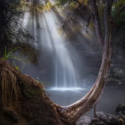 Silence of Light