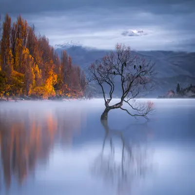 Autumn Equinox