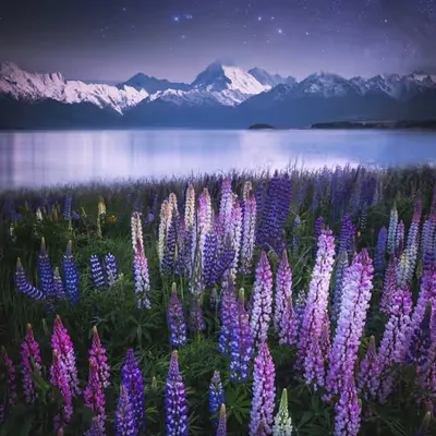 Spring Equinox