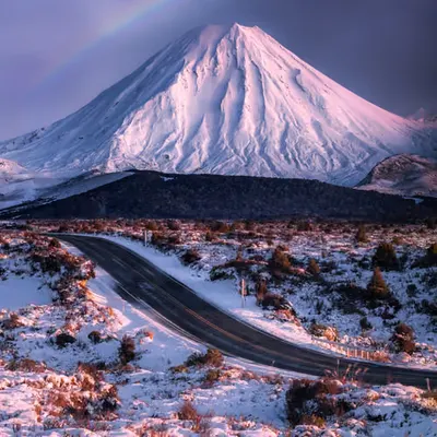 The Road Home