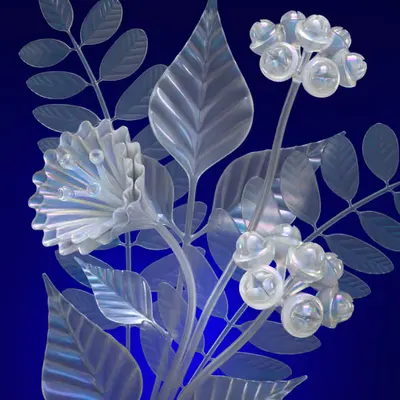 Transparent Flowers