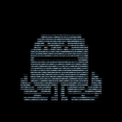 Toad 15