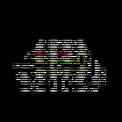 Toad 28