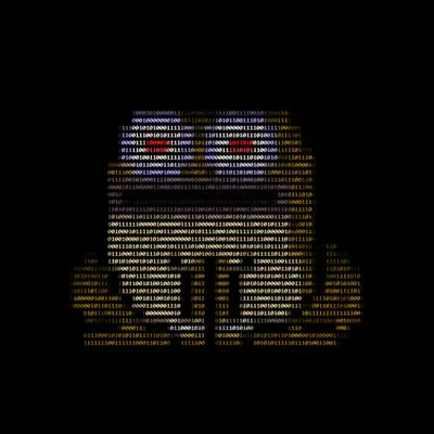 Toad 55