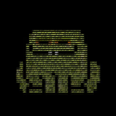 Toad 56