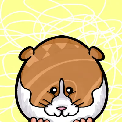 Guinea Pig