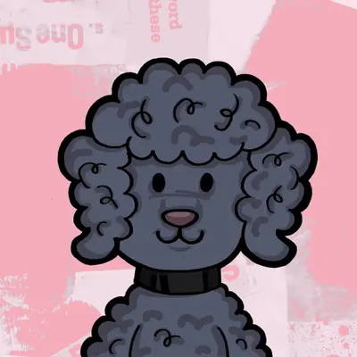 Poodle