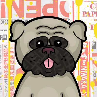 Pug