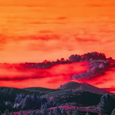 Island in the Clouds