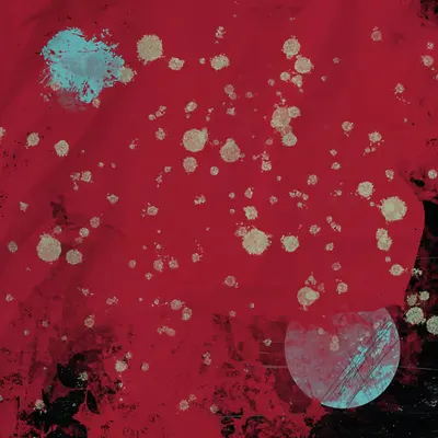 #31