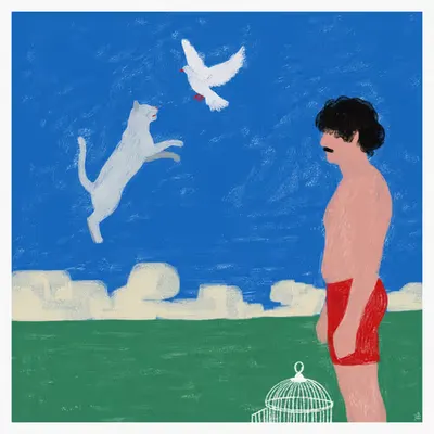 freedom