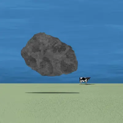 What is the cow looking at?