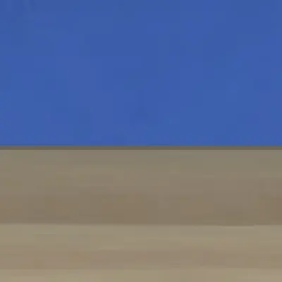 𝘛𝘩𝘦 𝘣𝘶𝘭𝘭 𝘪𝘴 𝘤𝘰𝘮𝘪𝘯𝘨