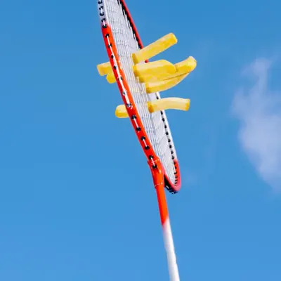 Flying Fries