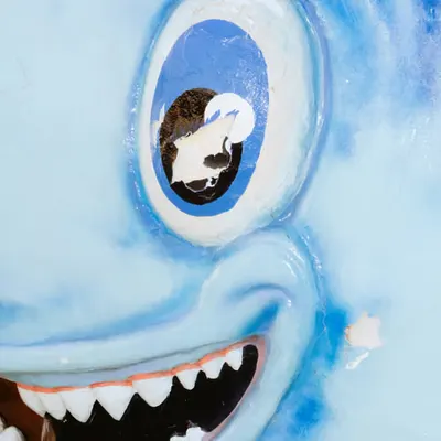 Shark