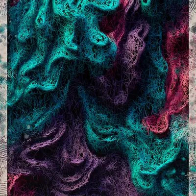 Geometric Echoes #2