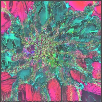 frenetic_exultations ii