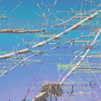cradle_of_life