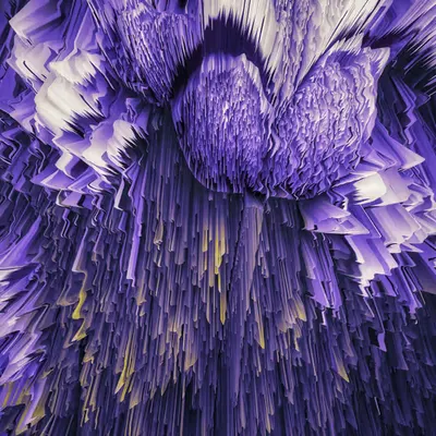 florae_abstracta v