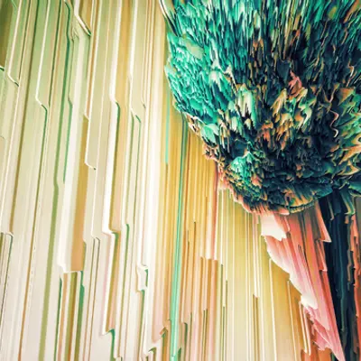 florae_abstracta vi