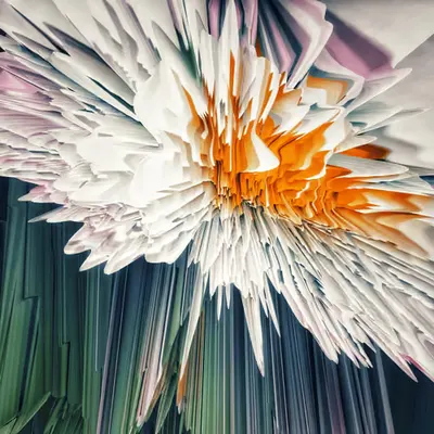 florae_abstracta ix