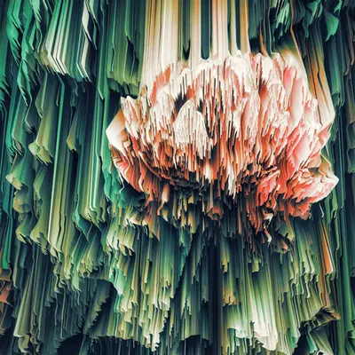 florae_abstracta xi