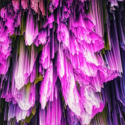 florae_abstracta xii