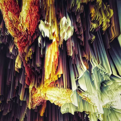 florae_abstracta xiv