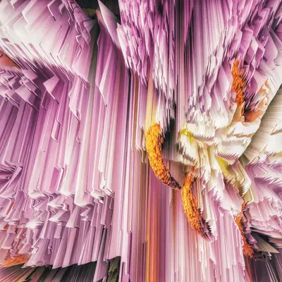florae_abstracta xxi