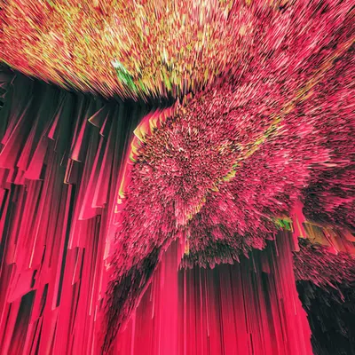 florae_abstracta xxvi