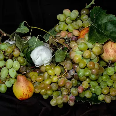 Still Life 8