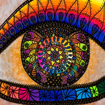 The eyes of artist