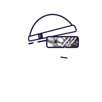 amego // head 07
