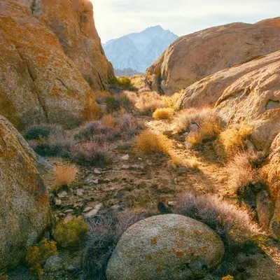 Desert Light