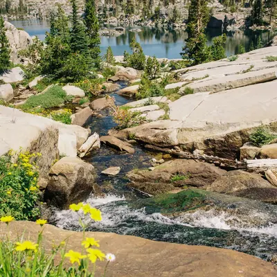 Summer in the Alpine