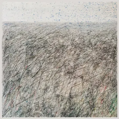 untitled (tundra no. 3)