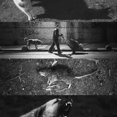 Mad World