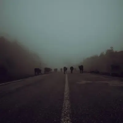 Be On Your Way