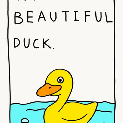 BEAUTIFUL DUCK