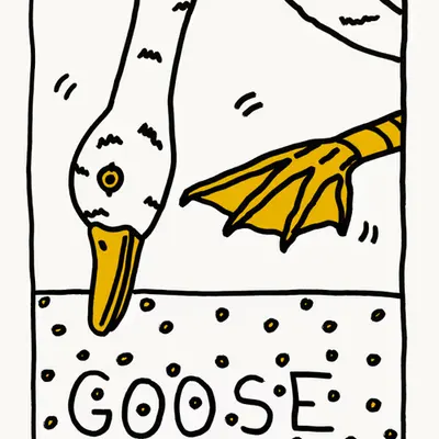 GOLD GOOSE